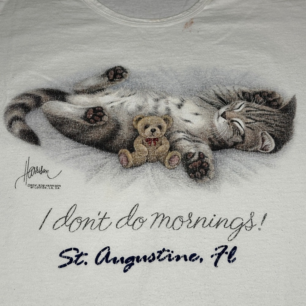 Vintage Anvil St Augustine FL Cat Teddy Bear I Don't Do Mornings T-Shirt OSFA